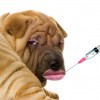 Plastic Surgery for Pets