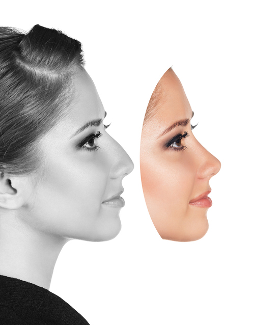 celebrity noses profiles